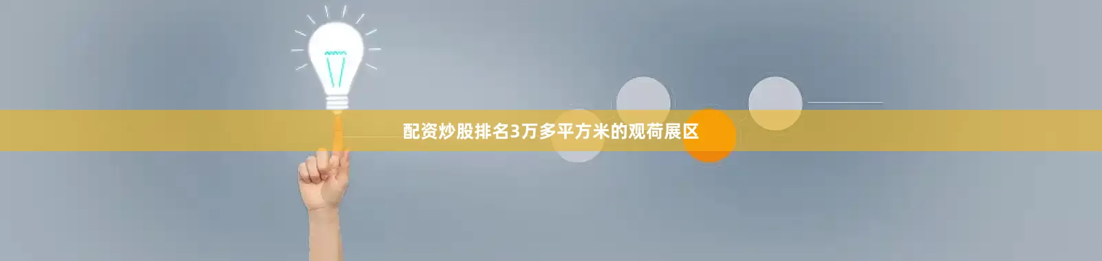 配资炒股排名3万多平方米的观荷展区
