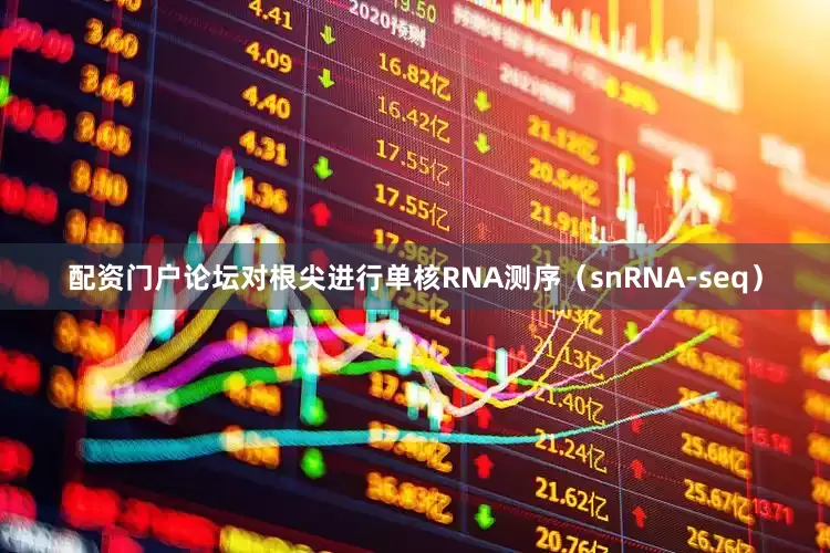 配资门户论坛对根尖进行单核RNA测序（snRNA-seq）