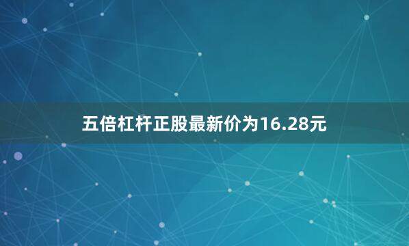 五倍杠杆正股最新价为16.28元
