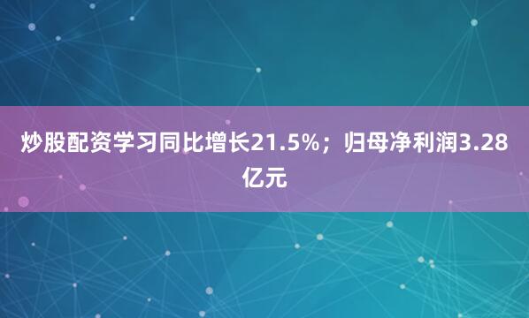 炒股配资学习同比增长21.5%；归母净利润3.28亿元