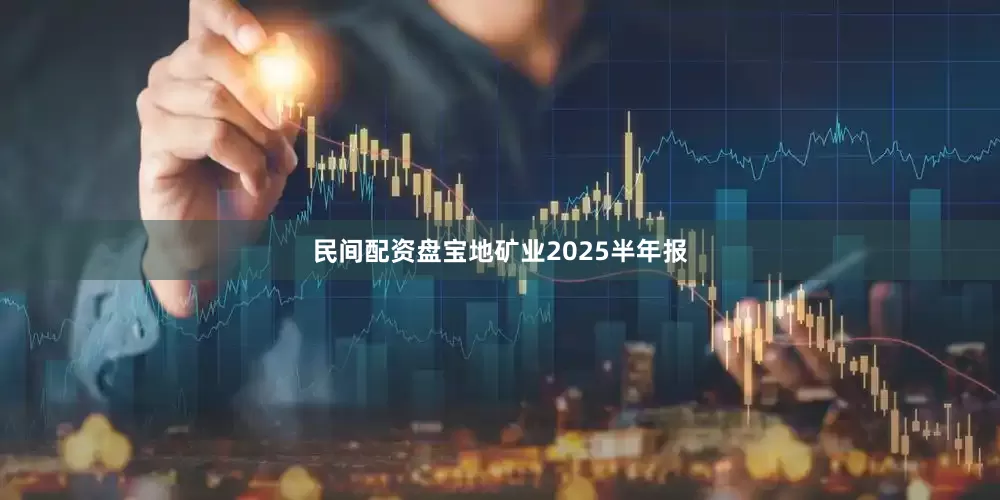 民间配资盘宝地矿业2025半年报