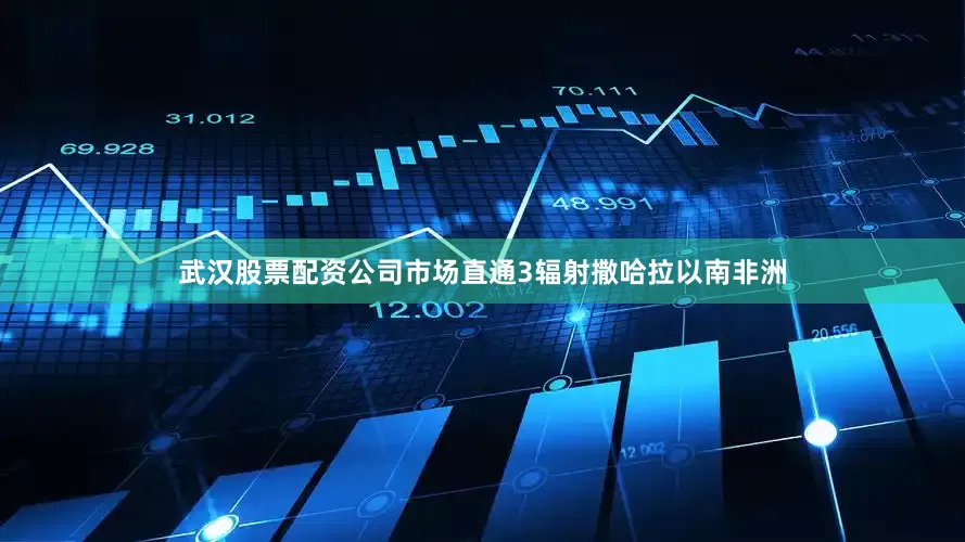 武汉股票配资公司市场直通3辐射撒哈拉以南非洲
