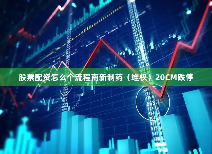 股票配资怎么个流程南新制药（维权）20CM跌停